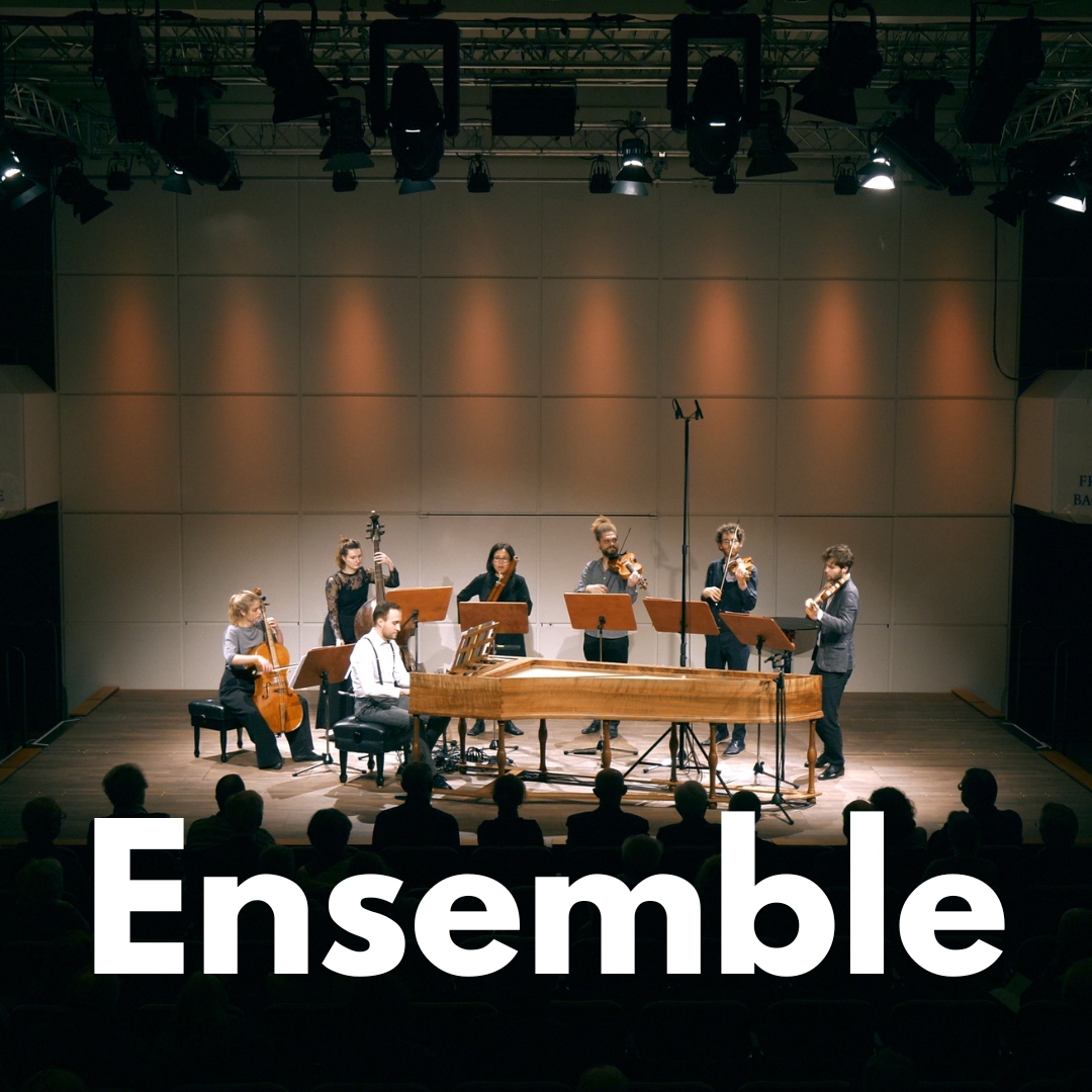 Wie groß ist Dein Ensemble, oder bist Du Solist?